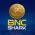 BNC SHARK