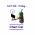 CHART CAT OFFICIAL