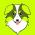 ROBDOG